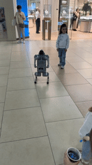 Robot dog demonstration draws children's attention at Sochi mall