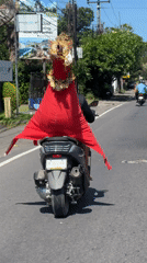 Ceremonial dress on a scooter, cafe life in Denpasar