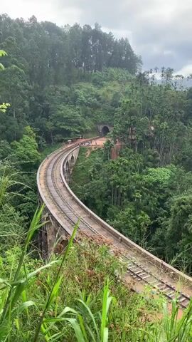 A high-angle, medium shot shows a curved railway track crossing a viaduct bridge surrounded by dense green foliage. The sky is overcast with dramatic clouds. In the background, a tunnel is visible on the left side of the track, with a few people standing near its entrance. The vegetation is lush and diverse, with tall trees and smaller plants covering the rolling hills. The railway track itself is made of steel rails and wooden sleepers, appearing well-maintained. The overall atmosphere is serene and natural, highlighting the integration of the man-made structure with its environment.