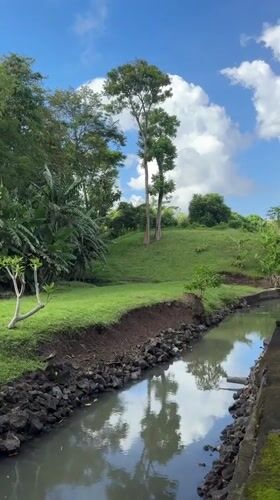 Quiet moments: canal landscape and nursing dogs in Kediri
