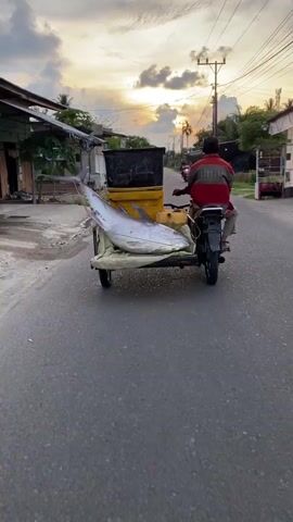 A person wearing a red and maroon striped shirt and dark pants rides a motorcycle with a sidecar. The sidecar is carrying a large, silver fish, possibly a tuna, and a black container. The motorcycle is on an asphalt road with power lines overhead and buildings on either side. The sky is a mix of orange, yellow, and gray clouds, suggesting either sunrise or sunset. Another motorcycle carrying two people is visible further down the road.