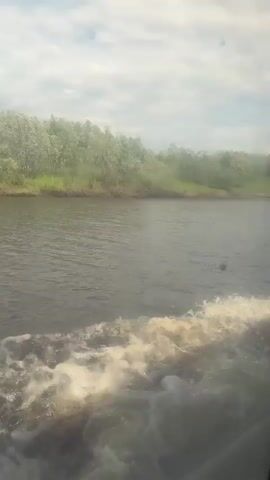 The video shows a view from a moving boat on a river. The water in the foreground is churning with white foam, indicating the boat's movement. The riverbanks are lined with lush green trees and vegetation, with some trees in bloom with white flowers. The sky is partly cloudy with a bright, hazy atmosphere. Two small birds are visible flying in the sky in the middle of the video. The overall impression is a peaceful, natural scene.