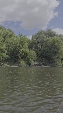 The video captures a serene scene from the perspective of a kayak or canoe moving through a calm river. Dense green foliage lines the riverbanks, creating a natural, lush backdrop. The sky above is a bright blue, dotted with fluffy white clouds. In the foreground, a paddle is visible, gently dipping into the water. Further ahead, other kayaks can be seen on the river, suggesting a leisurely outing. The video focuses on the tranquility of the natural environment and the gentle movement of the watercraft.