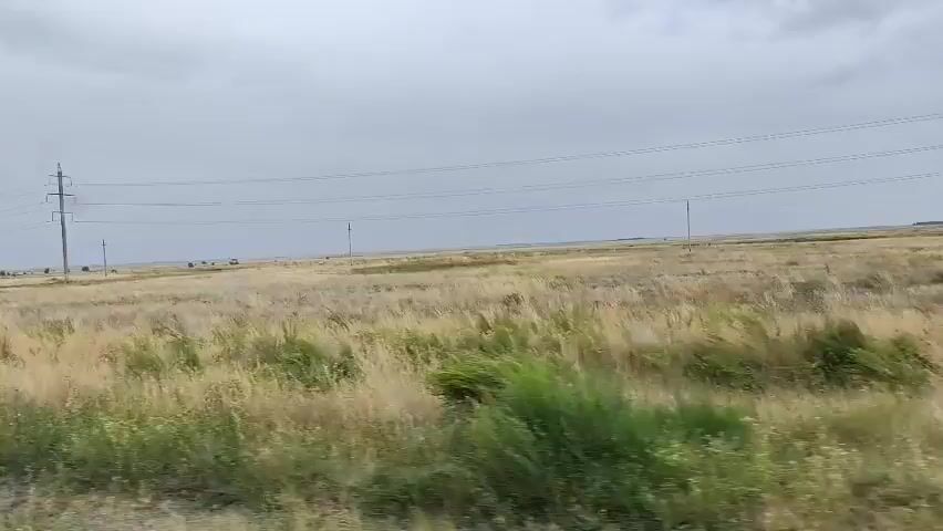 The video shows a rural landscape with dry grass and power lines. There are power line towers in the distance, some of them appear to be made of metal. The sky is cloudy and overcast. There are some small green bushes in the foreground. The video appears to be shot from a moving vehicle, as indicated by the slight blur and the perspective change. There are no people visible in the video.