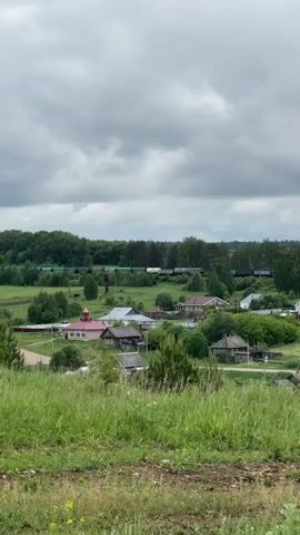 The video captures a serene rural landscape, likely a village in Pychas, Russia, under a cloudy sky. The scene is dominated by lush green fields and scattered trees, suggesting an overcast day. In the foreground, there's a grassy slope with some wild yellow flowers.

Further into the midground, a collection of houses with varying architectural styles is visible. Some houses feature traditional wooden designs, while others have more modern appearances with light-colored walls and different roof colors, including red and grey. A distinctive building with a red dome, possibly a church or chapel, stands out among the houses. A tall, slender water tower is also present within the village.

In the background, a long freight train slowly moves across the landscape on railway tracks. The train consists of multiple cars, some green and some blue, blending with the distant greenery. Beyond the railway line, a dense forest stretches across the horizon. The overall impression is one of a tranquil countryside setting with a glimpse of everyday life as a train passes through. No people or visible text are present in the video.