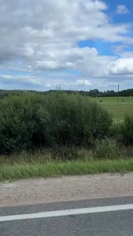The video shows a view from a moving vehicle looking out at a rural landscape. The scene includes a green field with several round hay bales scattered across it, a line of trees in the distance, and a partly cloudy blue sky. There is also some vegetation closer to the vehicle, including tall grasses and bushes. The view is somewhat blurry due to the motion of the vehicle.
