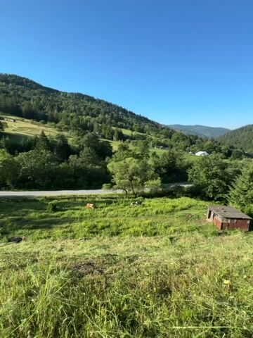 The video shows a wide shot of a rural landscape with rolling green hills under a clear blue sky. In the foreground, a grassy field is visible, with some taller grass and patches of yellow wildflowers. To the right of the field, there is a small, dilapidated wooden structure with a red roof and brown walls. Further back, a road cuts across the landscape, with a few cows grazing in a field beside it. One cow is brown and white, while another is black and white. The black and white cow is lying down in the grass. Behind the road, the hills are covered in dense green trees. In the distance, more hills and some scattered houses can be seen. The sun is shining brightly, casting shadows across the scene. The video appears to be filmed from a slightly elevated position, looking down onto the field and road. There are no people visible in the video.