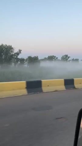 The video shows a landscape scene from a moving vehicle, likely a road. In the foreground, there is an asphalt road with a concrete barrier painted yellow and black. Beyond the barrier, there is a field with green grass and trees. A thick layer of fog blankets the field, obscuring the lower parts of the trees and giving the scene an ethereal quality. The sky above is a pale blue, transitioning to a soft pink near the horizon, suggesting it is either sunrise or sunset. The video appears to be taken during the golden hour. There is no audio.
