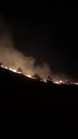 Here's a description of the video:

The video shows a fire burning in a dark environment, likely at night.  The flames are visible along a horizontal line, suggesting a ground-level fire.  Smoke is rising from the fire.  The rest of the scene is obscured by darkness.