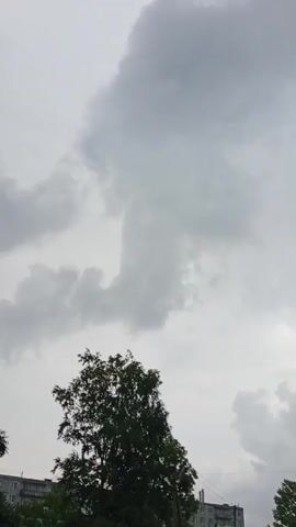 A video shows a cloudy sky with a large tree in the foreground. A tall building is visible in the background. There are some birds flying in the sky.