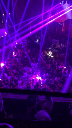 Packed nightclub dancefloor under purple lights in Dénia