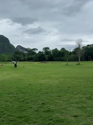 The video shows a large grassy field with a mountain in the background under a cloudy sky. There are trees scattered around the field and a few benches.  Two people are visible at the far left of the frame, and another person is sitting on a bench under a tree, with what appear to be two deer statues next to them.  The person on the bench is wearing a long dress and a hat.
