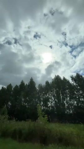 The video shows a view from a moving vehicle looking up at a cloudy sky with the sun partially visible through the clouds. There is a line of trees in the middle ground and a grassy field in the foreground. Two yellow pedestrian crossing signs are visible on the side of a paved road.