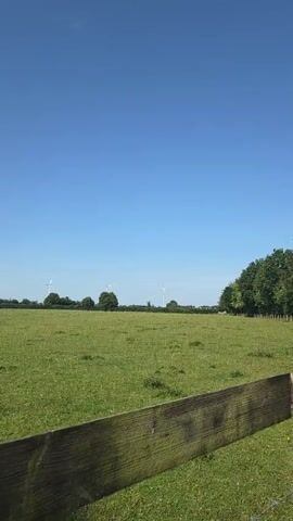 A vertical, outdoor, handheld shot captures a wide, green, grassy field under a clear, bright blue sky. In the foreground, a weathered, wooden fence runs horizontally across the bottom of the frame, slightly out of focus. The middle ground reveals a vast expanse of neatly mowed grass, with scattered trees and a few small, dark structures that appear to be shelters or picnic tables. In the distance, along the horizon, several white wind turbines are visible, their blades appearing stationary against the sky. The overall impression is one of a peaceful, rural landscape on a sunny day.