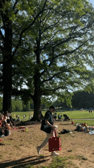 New Yorkers gather for evening picnics in sunny park