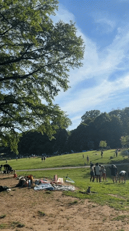 New Yorkers gather for evening picnics in sunny park