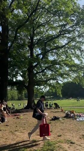 New Yorkers gather for evening picnics in sunny park