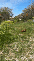 Woman enjoys sunny morning in Sutomore, Montenegro