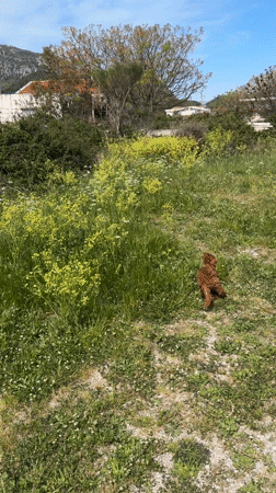 Woman enjoys sunny morning in Sutomore, Montenegro
