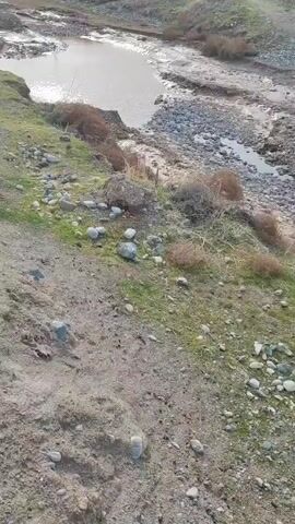 The camera pans across a landscape featuring a muddy riverbed running alongside a sandy, rocky slope. The river is flowing with murky water, partially covering the riverbed. The slope is interspersed with small patches of green grass and scattered rocks. As the camera pans further, the river becomes less prominent, and a wide, grassy field comes into view, dotted with sparse vegetation. The horizon is visible in the distance, marked by a treeline and a few structures, including what appears to be a utility tower. The sky is overcast, with a mix of white and grey clouds. The scene is natural and undeveloped, with no people or animals visible.