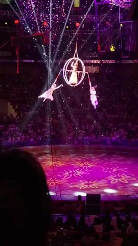 Three aerialists are performing a routine in a large arena. Two individuals are suspended from a circular apparatus, while a third is positioned on top of it. The arena is illuminated with purple and pink lights, and confetti is falling from above. The floor of the arena has a projected floral pattern. A crowd of spectators is visible in the background.