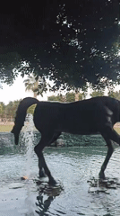 Horse statue fountain operates in Yenişehir, Turkey