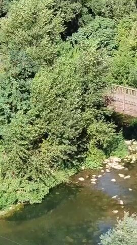 The video shows a wooden bridge over a river. Two people are walking on the bridge. One person is wearing a blue shirt and shorts, and the other is wearing a pink shirt and shorts. The bridge is surrounded by trees. The river is shallow and has rocks in it. The sun is shining and the weather appears to be warm.