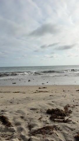 The video shows a beach with sand in the foreground and waves crashing on the shore in the background. The sky is overcast with clouds. There is some seaweed scattered on the sand and in the water. The ocean is gray and choppy.