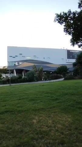 A video captures a building with a white facade adorned with decorative fish-like shapes. A dark, curved awning extends from the building's entrance, bordered by lush green grass and trees in the foreground. The sky is a pale, hazy blue. A large screen is visible on the right side of the building, displaying a picture of a whale. The overall scene suggests an aquarium or a similar marine-themed attraction.