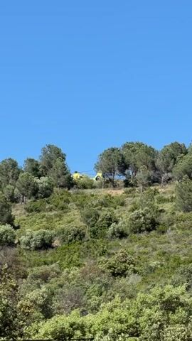 The video shows a yellow helicopter positioned on a hill covered in trees and green vegetation against a clear blue sky. The helicopter is partially obscured by the trees. The hill slopes upwards and the vegetation covers the entire visible surface.