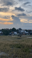 Peaceful rice fields documented under moonlit skies in North Kuta