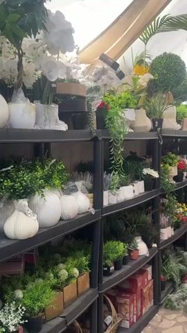 The video showcases multiple black shelving units filled with various artificial plants and home decor items.

On the top shelf, a collection of white ceramic vases and pots holds artificial white orchids and different types of green foliage. Some items are still wrapped in protective plastic.

The middle shelves feature a wide array of dried floral arrangements and artificial plants. There are numerous bundles of dried grasses or wheat, often tied with burlap or string, and individually wrapped in clear plastic. Other items include bundles of green artificial plants, some wrapped in burlap. White ceramic decorative gourds or pumpkins are also visible.

The bottom shelves continue to display artificial plants and home decor. Small potted artificial green plants are arranged in rows, some in rectangular wooden or metallic planters. Other items include decorative glass jars, golden spheres, and what appear to be small artificial lemon arrangements in burlap-wrapped pots. The very bottom shelf on the right shows boxes, possibly packaging for other products.

The overall scene suggests a retail environment, a wholesale showroom, or a storage area for home decor and artificial floral supplies. The camera pans horizontally across the shelves, providing a detailed view of the merchandise.
