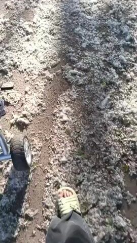 A person walks along a dirt path covered in white fluff, possibly poplar fluff. A stroller or wagon is partially visible on the left side of the frame. The person is wearing a sandal and dark pants. The ground is dusty with patches of green vegetation.
