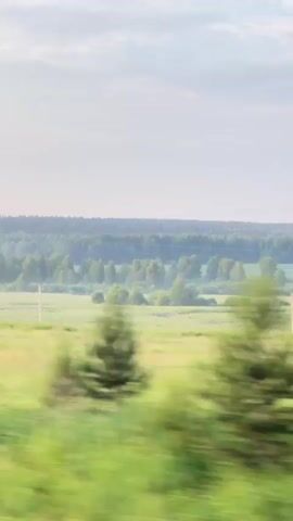 The video shows a passing view of a landscape from a moving vehicle. The scene is dominated by green fields and a dense forest in the background under a hazy sky. Several utility poles with wires are visible scattered across the landscape, indicating human presence and infrastructure. The foreground is blurred due to motion, with trees and vegetation passing by. The overall impression is of a rural or natural environment during daytime.