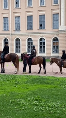Horse lessons and dog walking in Saint Petersburg park