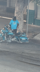 Motorcyclist spotted with decorated touring bike in Los Angeles