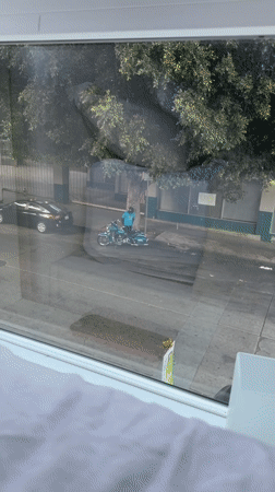 Motorcyclist spotted with decorated touring bike in Los Angeles