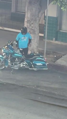 Motorcyclist spotted with decorated touring bike in Los Angeles