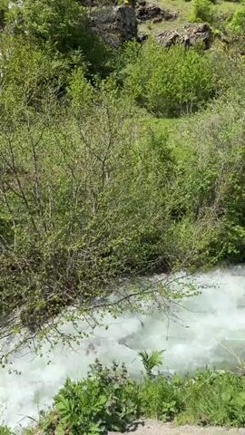 The video shows a mountain waterfall cascading down a rocky, green hillside on a sunny day. The water is a milky white color, suggesting a high mineral content or glacial origin. Lush green trees and vegetation cover the hillside. At the top of the waterfall, an electrical power line and tower are visible against the bright blue sky. The camera pans upwards, following the course of the waterfall from the base to the top.