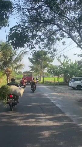 The video shows a rural road scene with several motorcycles and a truck. The closest motorcycle is carrying a large sack of what appears to be green vegetation on the back. A person is riding it, facing away from the camera. In the background, other motorcycles are also on the road, some with passengers. A red truck is visible further down the road. The environment is characterized by trees and fields, suggesting a countryside setting. The sky is clear and blue. The road surface appears to be asphalt.