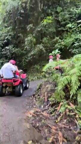 The video shows a group of people riding ATVs through a lush, green forest. The ATVs are red and the riders are wearing helmets. The terrain appears to be uneven, with dirt trails and dense vegetation. The camera appears to be mounted on the front of one of the ATVs, providing a first-person perspective.