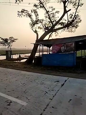 A short video shows a rural landscape at sunset. The sun is low in the sky, casting a warm glow over the scene. In the foreground, a paved road curves to the left. On the right side of the road, there are flooded rice paddies, with some green growth visible. Several trees are scattered throughout the landscape, some with sparse foliage. There are also some structures that appear to be simple sheds or small buildings. In the middle ground, a person on a motorcycle is visible, briefly appearing and then disappearing behind a tree. The overall impression is one of peaceful, rural life at the end of the day.