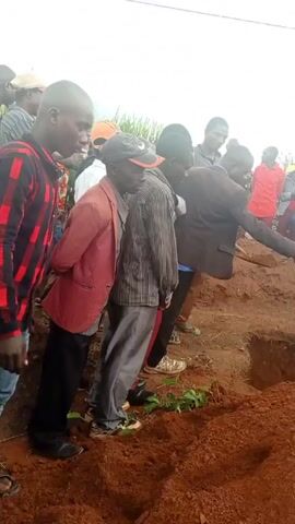 A group of people gather around a grave. The ground is red dirt, and there's a pile of dirt next to the grave. Some people are throwing dirt into the grave with shovels. A crowd of people are watching this happen. There are some tall reeds behind the people. The day appears overcast and rainy.