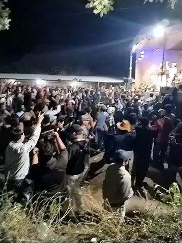 A crowd of people are gathered at night around a stage where a band is performing. The stage is lit with bright lights, and the audience is mostly illuminated by the stage lights. The people in the crowd are diverse in age and attire, and many are seen dancing, singing, and filming the performance with their phones. The environment appears to be outdoors, with trees and foliage visible in the foreground and background. The overall atmosphere is one of excitement and celebration.