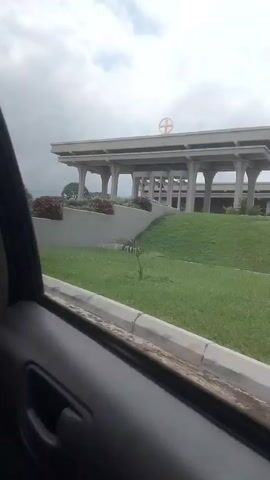 The video shows a building with a cross on top. It appears to be a church or a monument. The building has a modern architectural style with columns and a large roof. There are stairs leading up to the entrance. The surroundings are green with some trees and plants. The sky is cloudy. The video is filmed from inside a car, with the side of the car visible in the foreground. The car is moving, as indicated by the slight blur and the changing perspective.