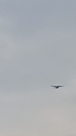 Parachutists descend over a quiet Bulgarian village on a grey morning