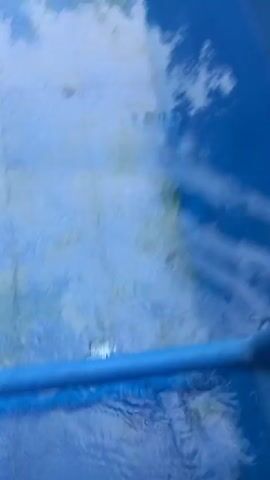 The video shows a close-up view of a blue pool with clear water. A blue pipe runs horizontally across the frame, partially submerged in the water. Bubbles are visible around the pipe, suggesting water flow or disturbance. A hand reaches into the water from the left side of the frame, disturbing the surface. Several small, dark objects, possibly debris or leaves, are floating on the water's surface. The bottom of the pool is visible through the water, appearing to be tiled or a textured surface with a light blue and white pattern.