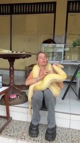 Woman handles exotic animals, tourists visit Bali water palace