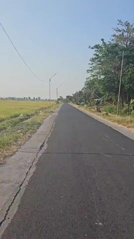 A black asphalt road stretches into the distance, bordered on the left by a field of yellow grass and on the right by a line of trees and some structures. The sky is clear and blue. Several lampposts are visible along the side of the road. The camera appears to be moving forward along the road.