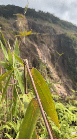 Mountain road and rocky terrain documented in Nam Khanh Vinh